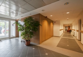 Budapest III. district closed to Ecseri street underground station offices for rent